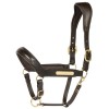 Harry's Horse Anatomic Leather Halter II