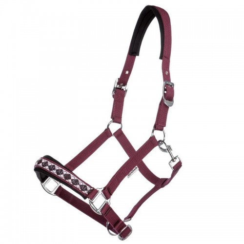 Cavalcade Halter Classic