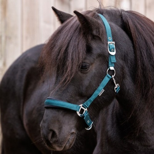 Kavalkade Icelandic Halter Classic Simple