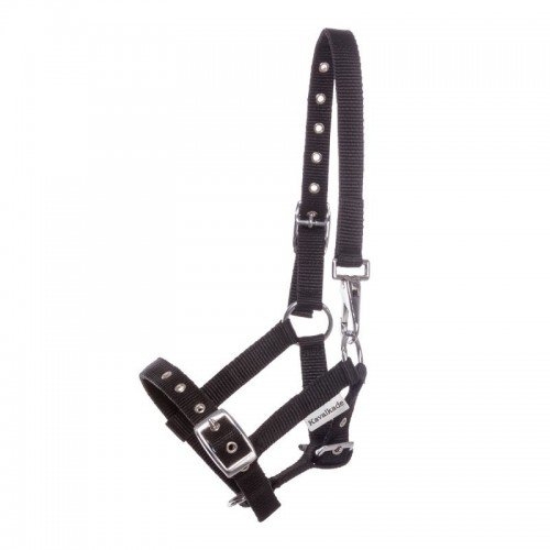 Kavalkade Veulenhalster Stripe