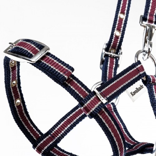 Kavalkade Veulenhalster Stripe
