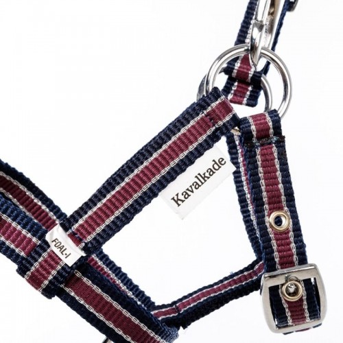 Kavalkade Veulenhalster Stripe