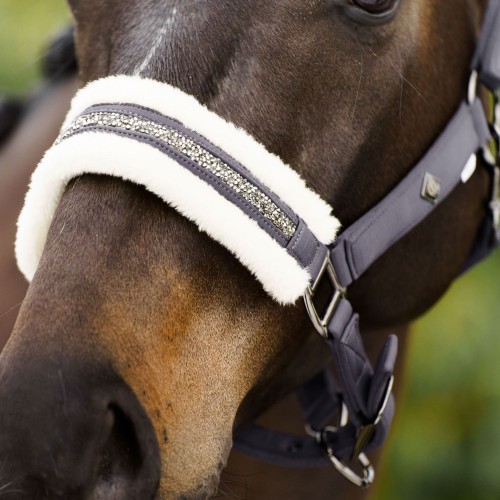 Imperial Riding FW25 Halter Jewel