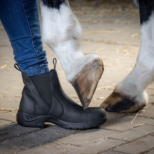 Harry's Horse Leather Safety Steel Toe Stable Shoe