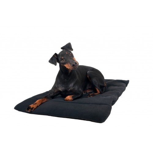 Back on Track Dog Rug