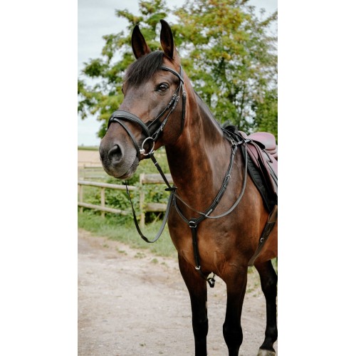 NORTON Bridle Endurance Pop