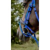 NORTON Bridle Endurance Pop