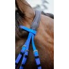 NORTON Bridle Endurance Pop
