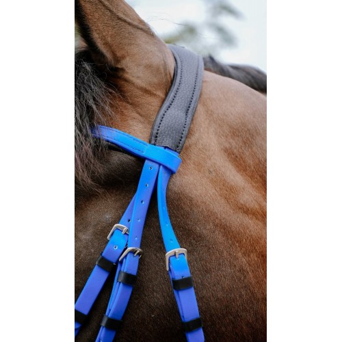 NORTON Bridle Endurance Pop
