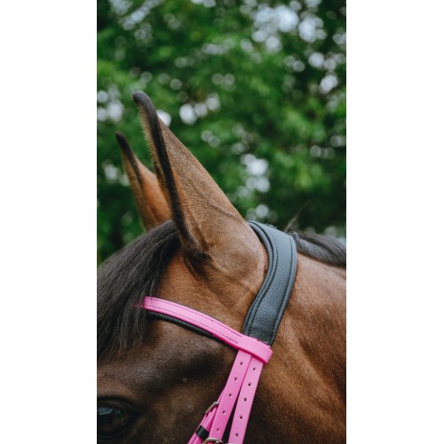 NORTON Bridle Endurance Pop