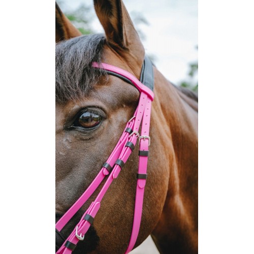 NORTON Bridle Endurance Pop