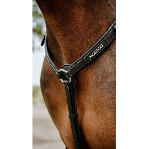NORTON Breastplate Endurance Pop