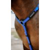 NORTON Breastplate Endurance Pop