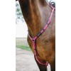 NORTON Breastplate Endurance Pop