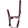 Harry's Horse Halter 3-way adjustable