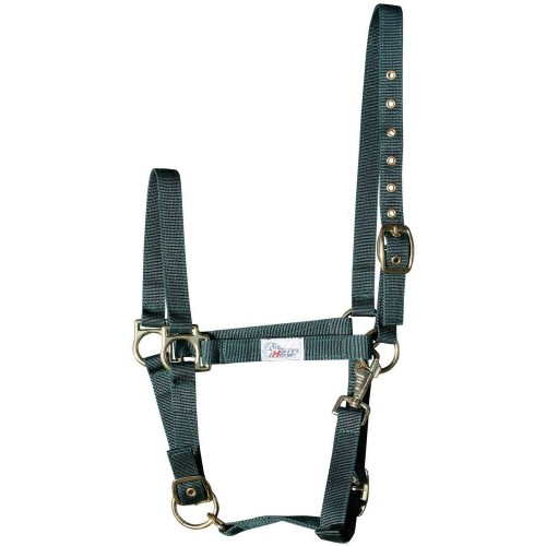 Harry's Horse Halter 3-way adjustable