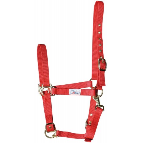 Harry's Horse Halter 3-way adjustable