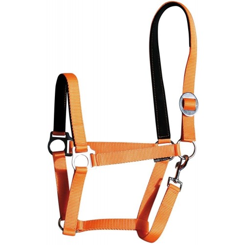 Harry's Horse Padded Halter