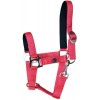 Harry's Horse Padded Halter
