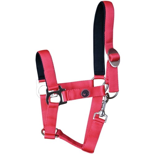 Harry's Horse Padded Halter
