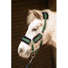 Harry's Horse FW25 Halterset Soft Stout!