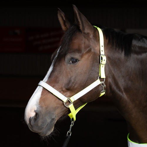 Harry's Horse Reflective Halter