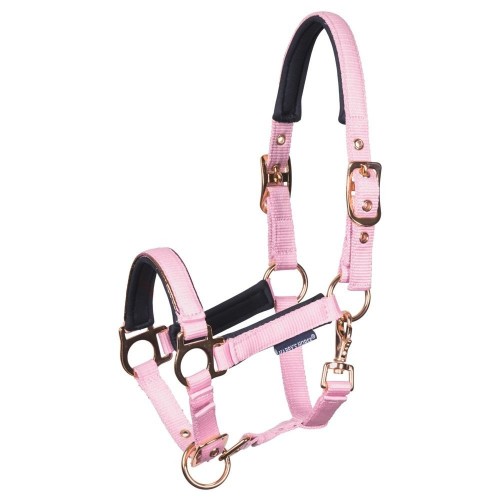 Harry's Horse SS26 Foal Halter Metal