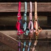 Harry's Horse SS26 Foal Halter Metal