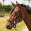 Harry's Horse SS26 Halter Set Equestrian Society