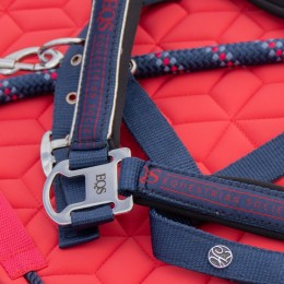 Harry's Horse SS26 недоуздок комплект Equestrian Society