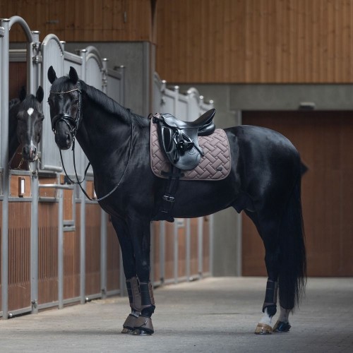 Kingsland SS26 KLLexie Dressage Saddle Pad