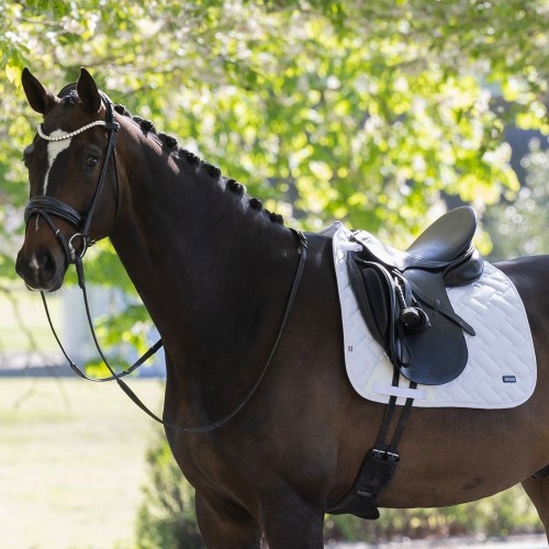Kingsland SS26 KLLexie Dressage Saddle Pad