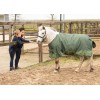 Harry's Horse FW25 Rain Rug 200gr Stout!