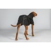 Back on Track Waterproof Dog Coat Bay