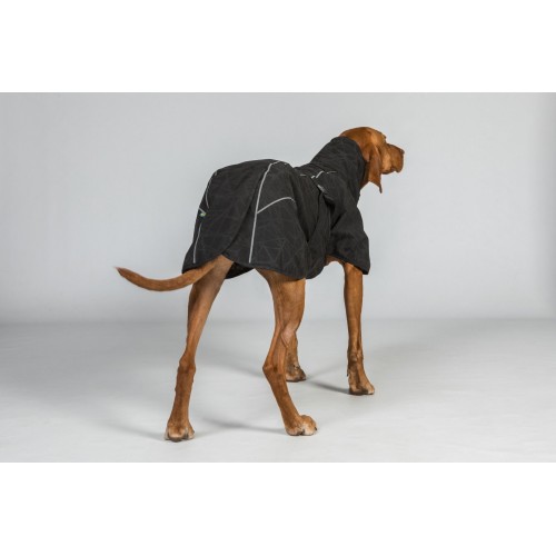 Back on Track Waterproof Dog Coat Bay
