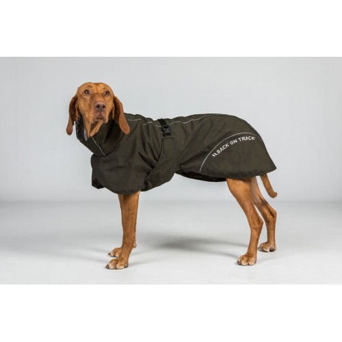 Back on Track Waterproof Dog Coat Bay