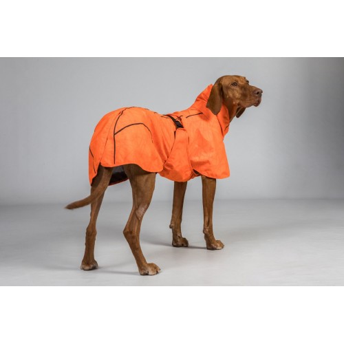 Back on Track Waterproof Dog Coat Bay