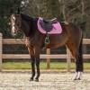 QHP Saddle Pad Lyvia