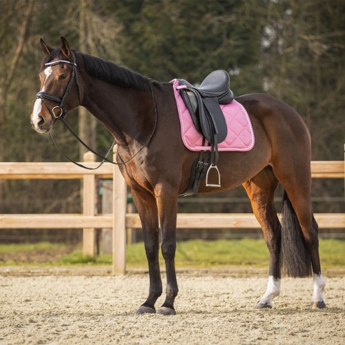 QHP Saddle Pad Lyvia