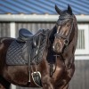 QHP Glitter Dressage Girth