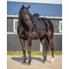QHP Glitter Saddle Pad
