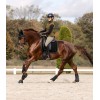 ELT Riding Breeches Comfort Ride Glam Full Grip
