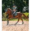 ELT Riding Breeches Comfort Ride Glam Full Grip