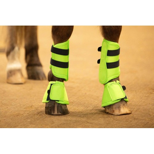 Harry's Horse FW25 Tendon Boots Flextrainer Stout!