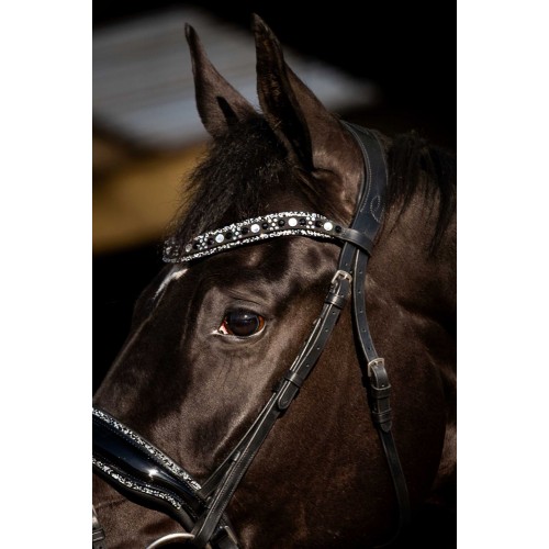 HB Showtime Bridle Black River