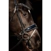 HB Showtime Bridle Black River