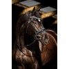 HB Showtime Bridle Blue Ocean