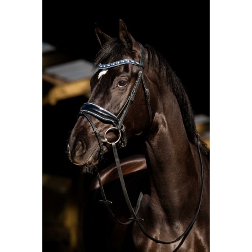 HB Showtime Bridle Blue Ocean