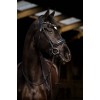 HB Showtime Bridle Dark Eagle