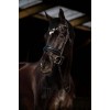 HB Showtime Bridle Dark Eagle